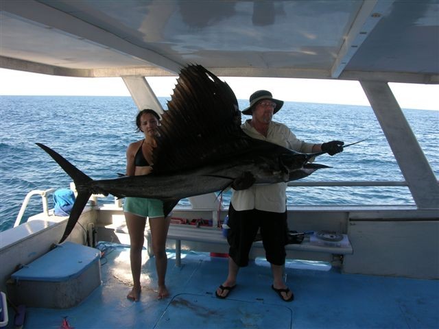 Big Sailfish - Rowley Shoals